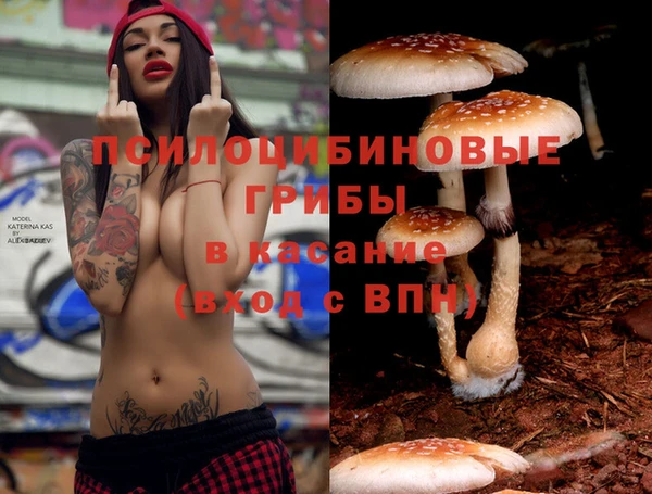 кокаин премиум Алексеевка