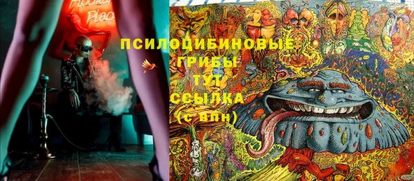 МДПВ Алексин