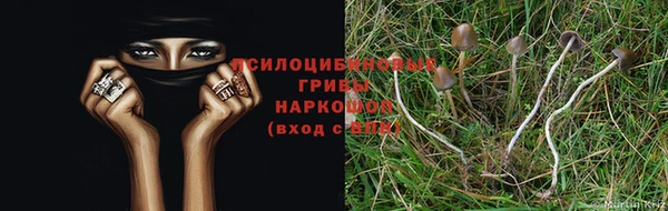 кокаин премиум Алексеевка